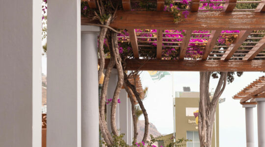 installation de pergolas